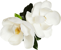 flower-img